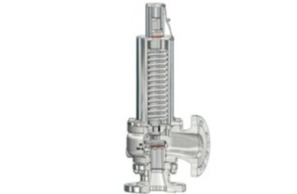 Sicherheitsventil DN25/PN16-DN25/PN16-16-C-5
