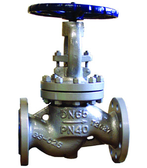 Globe valve 8906ST-20-40