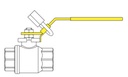 Hand lever With Locking device