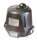 Electrical actuator Series VRX/VSX