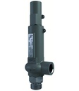 Sicherheitsventil 1/2"-6-3/4"-180-Vespel-EPDM